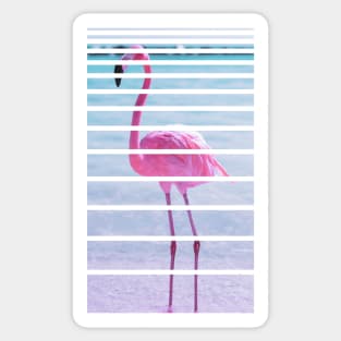 Flamingo Sticker